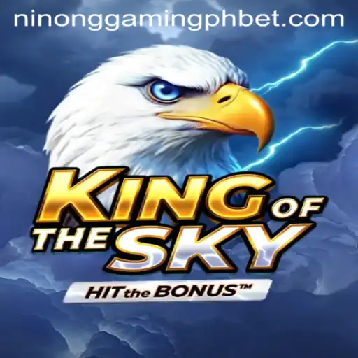Exploring KingOfTheSky: An Epic Gaming Adventure
